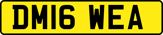 DM16WEA
