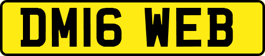 DM16WEB