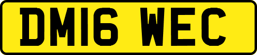 DM16WEC