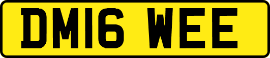 DM16WEE