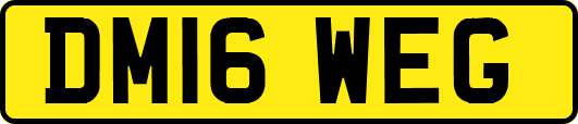 DM16WEG