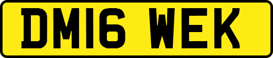 DM16WEK