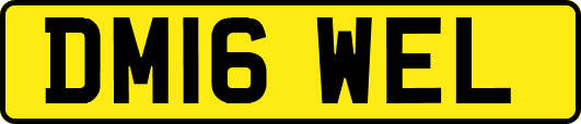 DM16WEL
