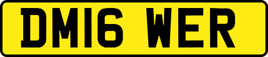 DM16WER