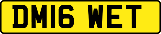 DM16WET