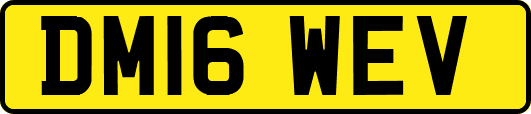 DM16WEV