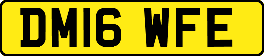 DM16WFE