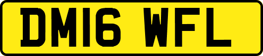 DM16WFL