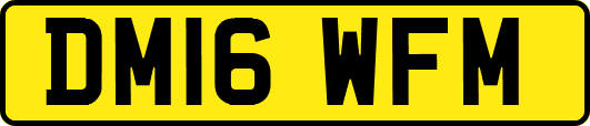 DM16WFM