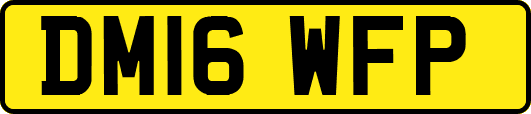 DM16WFP
