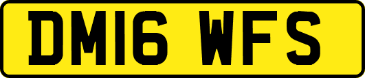 DM16WFS