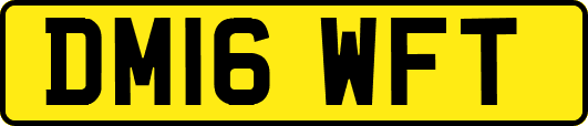 DM16WFT