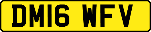 DM16WFV