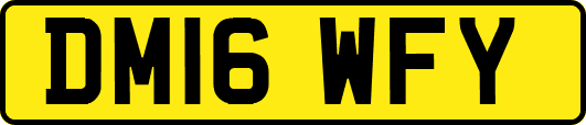 DM16WFY