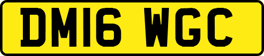 DM16WGC