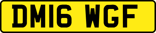 DM16WGF