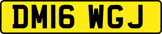 DM16WGJ