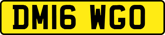 DM16WGO