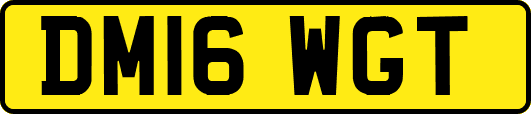 DM16WGT