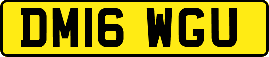 DM16WGU