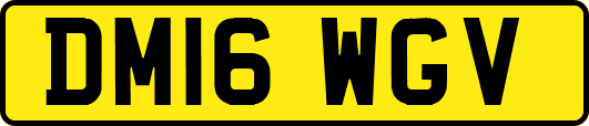 DM16WGV