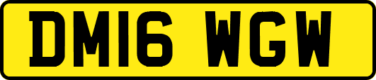 DM16WGW