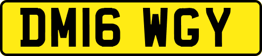 DM16WGY