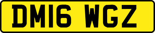DM16WGZ