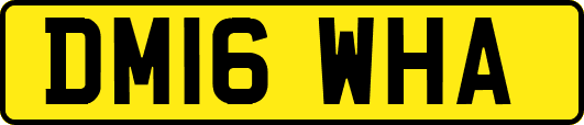 DM16WHA