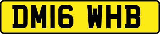 DM16WHB