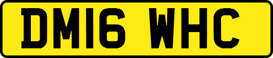 DM16WHC