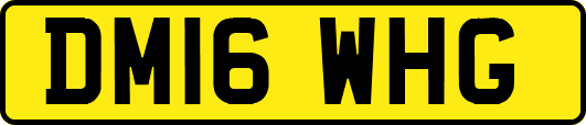 DM16WHG
