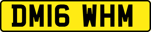 DM16WHM