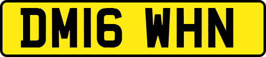 DM16WHN