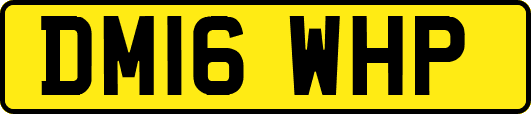 DM16WHP