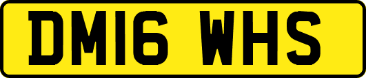 DM16WHS