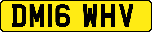 DM16WHV