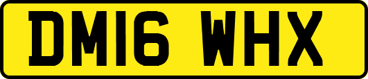 DM16WHX