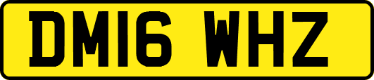 DM16WHZ