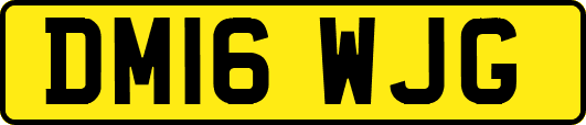 DM16WJG