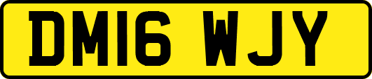 DM16WJY