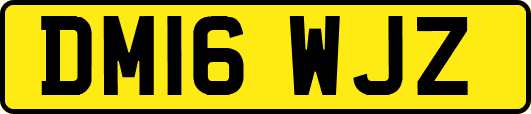 DM16WJZ