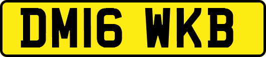 DM16WKB