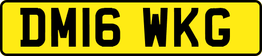 DM16WKG