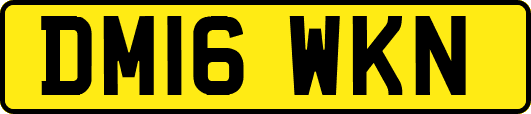 DM16WKN