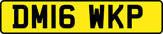 DM16WKP
