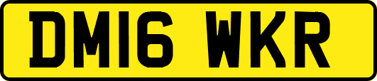 DM16WKR