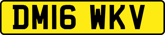 DM16WKV
