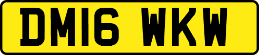 DM16WKW