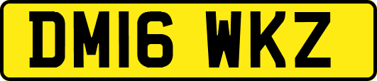 DM16WKZ